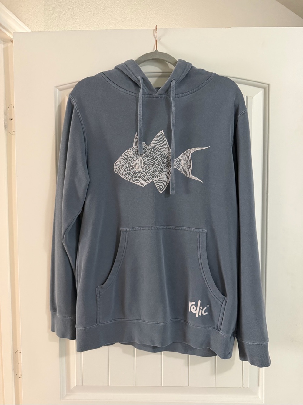 Blue Fish Graphic Hoodie